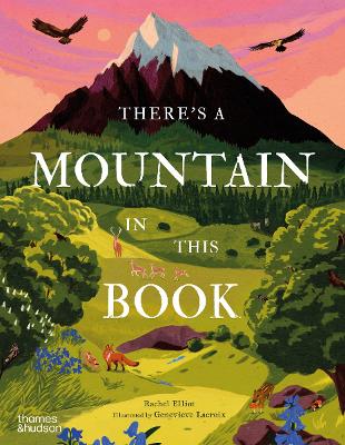 There's a Mountain in This Book book