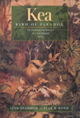 Kea, Bird of Paradox book