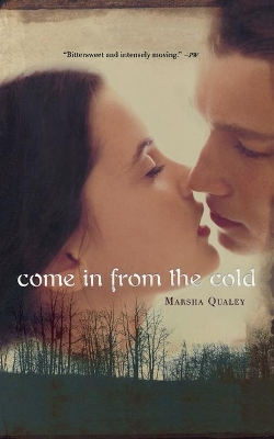 Come in from the Cold book