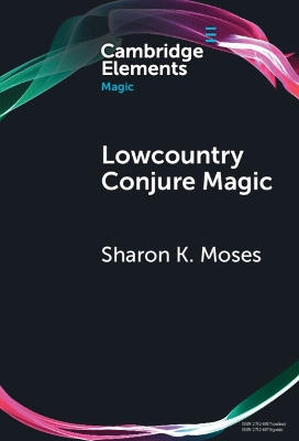 Lowcountry Conjure Magic: Historical Archaeology on a Plantation Slave Quarter book