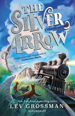 The Silver Arrow book