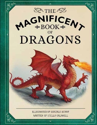 The Magnificent Book of Dragons book