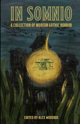 In Somnio: A Collection of Modern Gothic Horror book