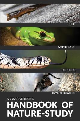 The Handbook Of Nature Study in Color - Fish, Reptiles, Amphibians, Invertebrates book