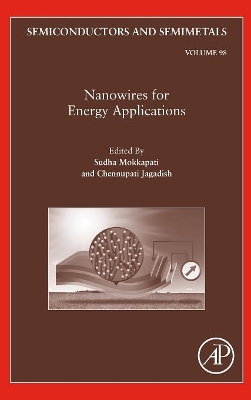 Nanowires for Energy Applications book