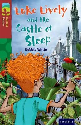 Oxford Reading Tree TreeTops Fiction: Level 15 More Pack A: Luke Lively and the Castle of Sleep book