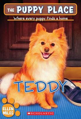 Teddy book