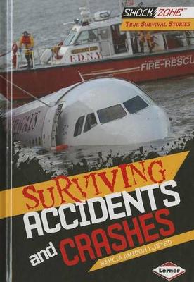Surviving Accidents and Crashes book