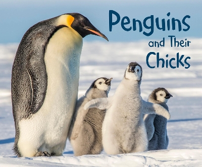 Penguins and Their Chicks by Margaret Hall