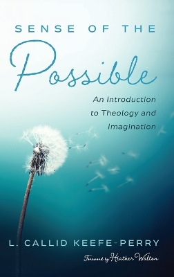 Sense of the Possible: An Introduction to Theology and Imagination book