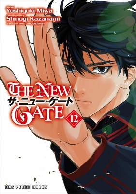 The New Gate Volume 12 book