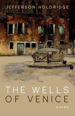 The Wells of Venice book