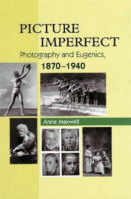 Picture Imperfect book
