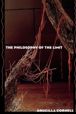 Philosophy of the Limit book