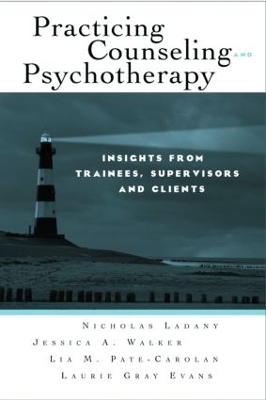 Practicing Counseling and Psychotherapy book