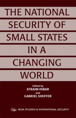 The National Security of Small States in a Changing World book