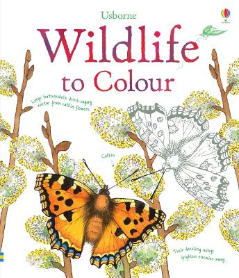 Wildlife to Colour book