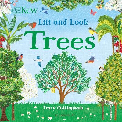 Kew: Lift and Look Trees book