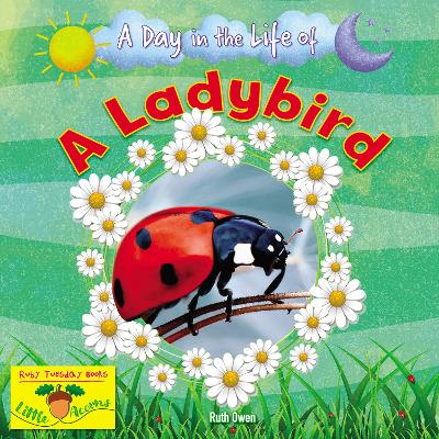 A Ladybird book