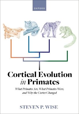 Cortical Evolution in Primates: What Primates Are, What Primates Were, and Why the Cortex Changed book