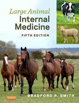 Large Animal Internal Medicine book