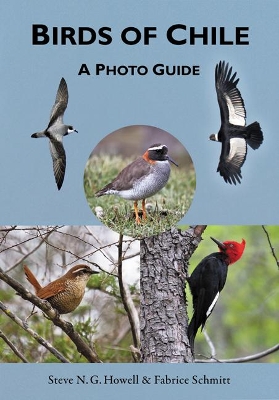 Birds of Chile book
