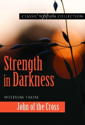 Strength in Darkness book