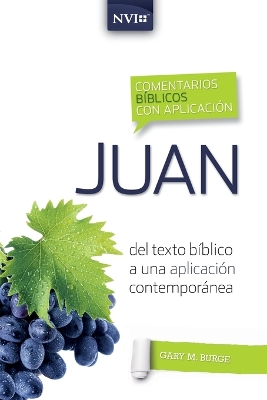 Comentario Bíblico Con Aplicación NVI Juan: del Texto Bíblico a Una Aplicación Contemporánea book