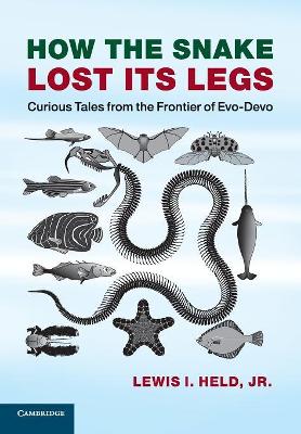 How the Snake Lost its Legs by Lewis I. Held, Jr