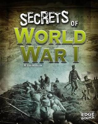 Secrets of World War I book