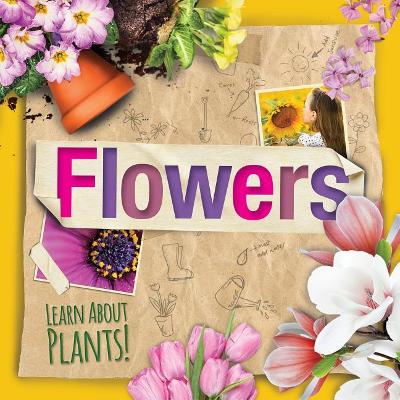 Flowers by Steffi Cavell-Clarke