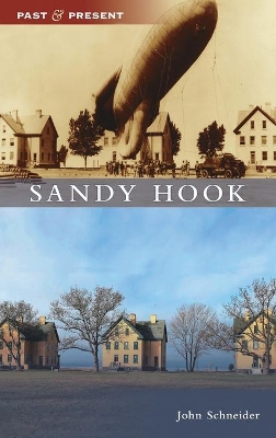 Sandy Hook book