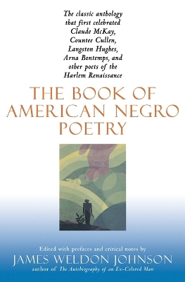 Book of American Negro Poetry book
