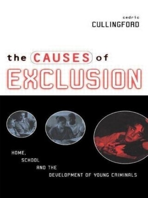 The Causes of Exclusion: Home, School and the Development of Young Criminals book