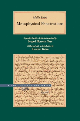 Metaphysical Penetrations book