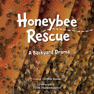 Honeybee Rescue: A Backyard Drama book