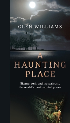 Haunting Place book