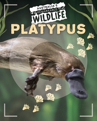 Australia's Remarkable Wildlife: Platypus book