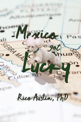 Mexico Got Lucky: Updated Edition book
