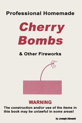 Professional Homemade Cherry Bombs and Other Fireworks book