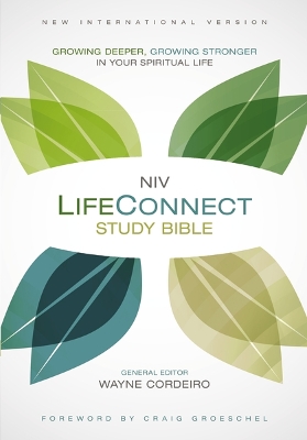 NIV, LifeConnect Study Bible, Leathersoft, Gray/Blue, Red Letter Edition book