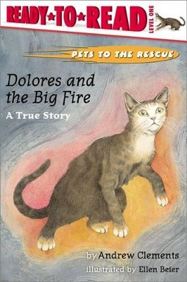 Dolores and the Big Fire: A True Story book