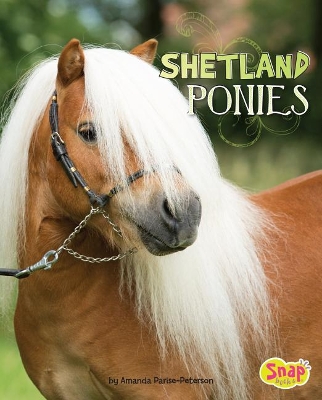 Shetland Ponies book
