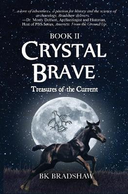 Crystal Brave: Treasures of the Current book