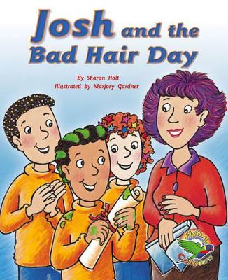 Josh and the Bad Hair Day book