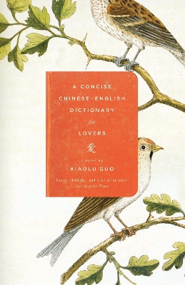 Concise Chinese-English Dictionary for Lovers by Xiaolu Guo