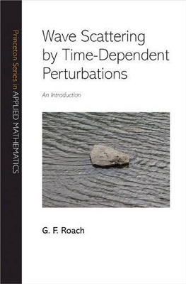 Wave Scattering by Time-Dependent Perturbations book