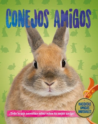 Conejos Amigos (Rabbit Pals) by Pat Jacobs