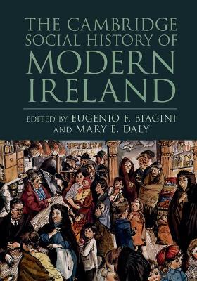 Cambridge Social History of Modern Ireland book