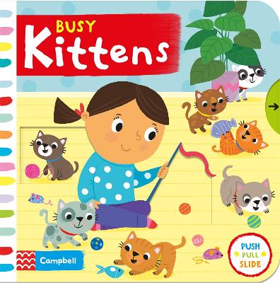 Busy Kittens book